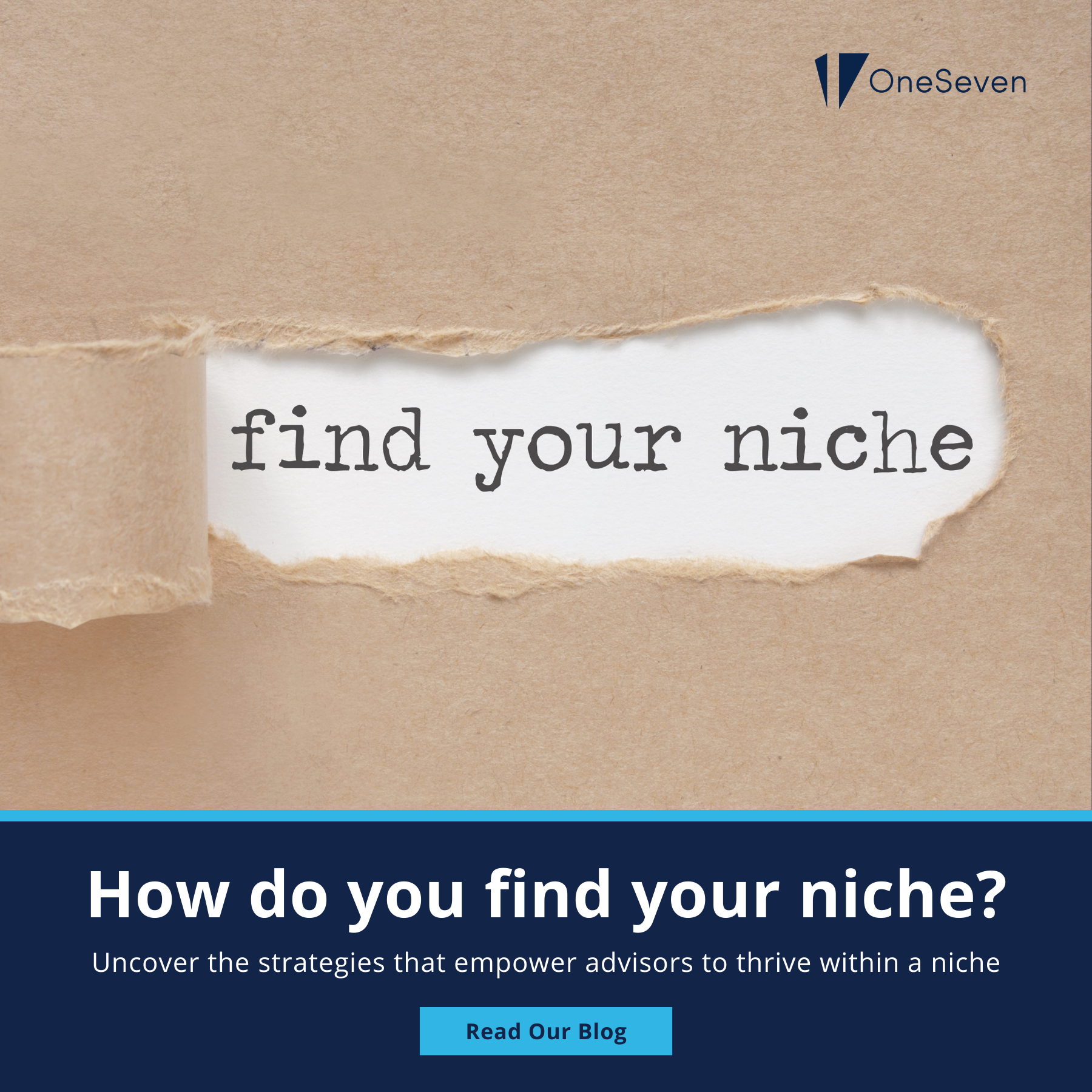  thumbnail of Building a Niche: Finding and Serving Specialized Clientele